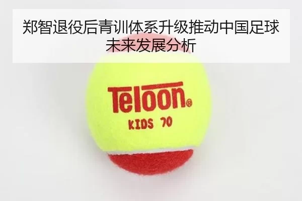 郑智退役后青训体系升级推动中国足球未来发展分析